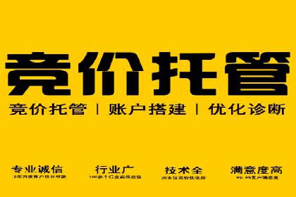 解析SEM主管在竞争激烈市场中的生存之道——以成功案例为鉴